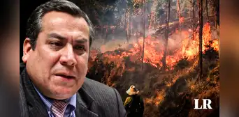 Gustavo Adrianzén sobre incendios forestales en el país: "Son provocados por prácticas ancestrales"