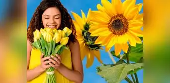 ¿Qué significan regalar flores amarillas y por qué se entregan cada 21 de septiembre? ¿Qué significan regalar flores amarillas y por qué se entregan cada 21 de septiembre?