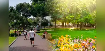¿Cuándo inicia la primavera 2024 en Perú? Senamhi revela fecha y hora exacta de inicio de nueva estación ¿Cuándo inicia la primavera 2024 en Perú? Senamhi revela fecha y hora exacta de inicio de nueva estación