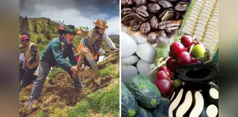 Este alimento cuesta menos de S/2 por kilo en el mercado: ¿qué beneficios tiene? Este alimento cuesta menos de S/2 por kilo en el mercado: ¿qué beneficios tiene?