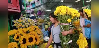 ¿Dónde comprar flores amarillas en Lima? Los 3 mercados imperdibles para el 21 de septiembre ¿Dónde comprar flores amarillas en Lima? Los 3 mercados imperdibles para el 21 de septiembre