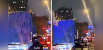 Captan traslado de jirafa en pleno centro de Lima y asombra en redes: “Hizo tour privado” Captan traslado de jirafa en pleno centro de Lima y asombra en redes: “Hizo tour privado”