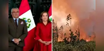 Gobierno declara en estado de emergencia a Amazonas, San Martín y Ucayali ante incendios forestales Gobierno declara en estado de emergencia a Amazonas, San Martín y Ucayali ante incendios forestales