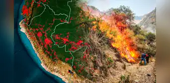 Incendios forestales en Perú 2024: Gobierno declara estado de emergencia en Amazonas, Ucayali y San Martín tras la pérdida de 19.000 hectáreas