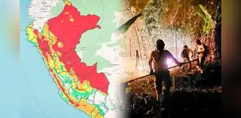 Incendios Forestales en Amazonas, Perú 2024: Dina Boluarte asegura que sobrevoló incendios forestales “exponiendo su vida” Incendios Forestales en Amazonas, Perú 2024: Dina Boluarte asegura que sobrevoló incendios forestales “exponiendo su vida”
