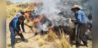 Gobierno entregará bonos a afectados por incendios forestales Gobierno entregará bonos a afectados por incendios forestales