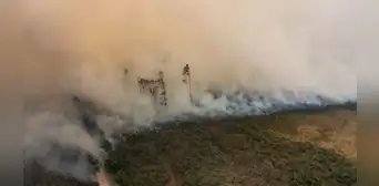 Más regiones piden estar en emergencia ante incendios