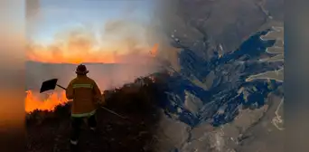 Incendios Forestales y la Ley 'Antiforestal' del Congreso agrava la crisis en el Perú: ¿Cuál será el futuro de las zonas afectadas?