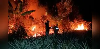 Pueblo awajún pide que se derogue ley antiforestal ante incendios forestales: "La destrucción de bosques compromete nuestro futuro"