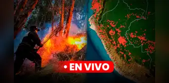 Incendios forestales Perú 2024 EN VIVO: Indeci reporta 20 fallecidos y 40 focos activos en 22 regiones Incendios forestales Perú 2024 EN VIVO: Indeci reporta 20 fallecidos y 40 focos activos en 22 regiones
