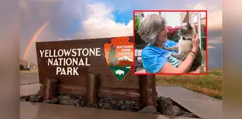Gato se pierde en Yellowstone y camina más de 1.400 kilómetros para reunirse con sus dueños 2 meses después Gato se pierde en Yellowstone y camina más de 1.400 kilómetros para reunirse con sus dueños 2 meses después