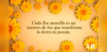 Imágenes de flores amarillas con frases para dedicar este 21 de septiembre Imágenes de flores amarillas con frases para dedicar este 21 de septiembre