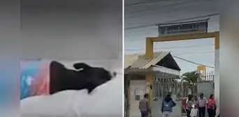 Doctora atiende con su perro echado en camilla para pacientes en hospital de Tumbes: "No quiero que lo cojas" Doctora atiende con su perro echado en camilla para pacientes en hospital de Tumbes: "No quiero que lo cojas"