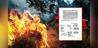 Pueblos originarios anuncian protesta por inacción ante incendios forestales: "Indolencia del Gobierno" Pueblos originarios anuncian protesta por inacción ante incendios forestales: "Indolencia del Gobierno"