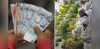 ¿Habrá aumento de sueldo mínimo para el sector privado en Perú este 2024? Esta es la información oficial del MTPE