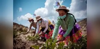 Agro crece 3,3% primeros siete meses del año Agro crece 3,3% primeros siete meses del año