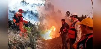 Bono para afectados de los incendios forestales en todo el Perú 2024: ¿cómo saber si soy beneficiario?