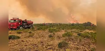 Incendios forestales en Amazonas: Indeci solo tomó fotos y bomberos van con el zapato roto