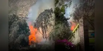 Alarma por incendio forestal en Lima: siniestro vuelve a reactivarse en Chosica y bomberos piden apoyo a Sedapal Alarma por incendio forestal en Lima: siniestro vuelve a reactivarse en Chosica y bomberos piden apoyo a Sedapal