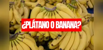 Ni plátano, ni banana: esta fruta es nombrada de otra manera en más de un país de Sudamérica
