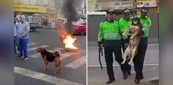 Policías ‘detienen’ a perrito durante paro y desata divertidas reacciones:"¡No, Firulais!"
