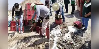 Cientos de botellas de cerveza son desechadas en Arequipa y usuarios quedan en shock