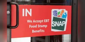 Cupones SNAP en octubre 2024: NUEVA LISTA de ciudades que brindarán más beneficios al programa en Estados Unidos Cupones SNAP en octubre 2024: NUEVA LISTA de ciudades que brindarán más beneficios al programa en Estados Unidos