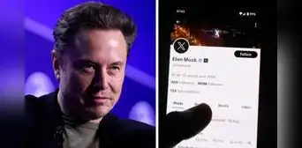 Elon Musk deberá pagar multa de 1,8 millones de dólares por propagación de perfiles falsos en X
