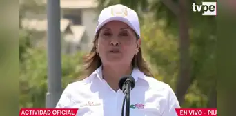 Presidenta Dina Boluarte sobre incremento de la delincuencia: “El que delinque es porque no tiene un ingreso, seguramente" Presidenta Dina Boluarte sobre incremento de la delincuencia: “El que delinque es porque no tiene un ingreso, seguramente"