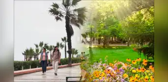 Llegó la primavera a Lima, ¿cómo impacta en el estado de ánimo de los jóvenes, según la psicología?: "Puede generar frustración" Llegó la primavera a Lima, ¿cómo impacta en el estado de ánimo de los jóvenes, según la psicología?: "Puede generar frustración"