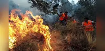 Incendios activos en 6 regiones siguen causando daños y dolor