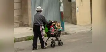 8 de cada 10 adultos mayores trabaja sin protección social 8 de cada 10 adultos mayores trabaja sin protección social