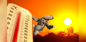 El mamífero más lento del mundo podría extinguirse: las altas temperaturas representan un peligro para los perezosos El mamífero más lento del mundo podría extinguirse: las altas temperaturas representan un peligro para los perezosos