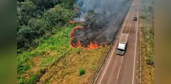Incendio forestal en Madre de Dios arrasa 30 hectáreas y avanza hacia Cusco dejando animales silvestres muertos