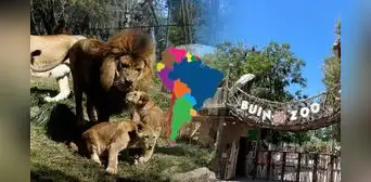 El país de Latinoamérica que estrenaría su primer bioparque en el 2035: tendrá 30 hectáreas y se unirá a México y Colombia El país de Latinoamérica que estrenaría su primer bioparque en el 2035: tendrá 30 hectáreas y se unirá a México y Colombia