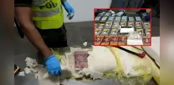 Piura: incautan más de una tonelada de cocaína oculta en pota, valorada en 50 millones de dólares y con destino a Europa