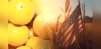 La 'fruta de oro' que tiene colágeno y mantiene la piel sin arrugas: es muy consumida en México y Estados Unidos La 'fruta de oro' que tiene colágeno y mantiene la piel sin arrugas: es muy consumida en México y Estados Unidos