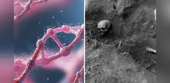Descubren civilización perdida con más de 10.000 años que revelaría nuevas pistas sobre la evolución humana Descubren civilización perdida con más de 10.000 años que revelaría nuevas pistas sobre la evolución humana