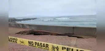 Alerta en la Costa Verde: se desploma parte de malecón de Miraflores tras nueva erosión del mar Alerta en la Costa Verde: se desploma parte de malecón de Miraflores tras nueva erosión del mar
