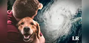 Lista de refugios que aceptan mascotas en Florida ante llegada del huracán Milton: zonas de evacuación AQUÍ Lista de refugios que aceptan mascotas en Florida ante llegada del huracán Milton: zonas de evacuación AQUÍ
