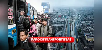 Paro de transportistas, EN VIVO: más de 300 buses de consorcio Roma en San Juan de Lurigancho paralizan labores