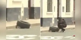 UDEX confunde carro de juguete con bomba en Lince: cercaron zona por falsa alarma UDEX confunde carro de juguete con bomba en Lince: cercaron zona por falsa alarma