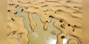 El Sahara, el desierto cálido más grande del mundo, se inundó por primera vez en décadas debido a un raro fenómeno El Sahara, el desierto cálido más grande del mundo, se inundó por primera vez en décadas debido a un raro fenómeno