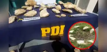 El curioso uso que le daba un hombre a 150 fósiles en su casa en Coquimbo: PDI incautó los restos El curioso uso que le daba un hombre a 150 fósiles en su casa en Coquimbo: PDI incautó los restos