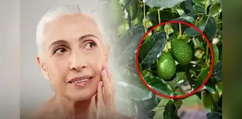 Reduce las arrugas y mejora la elasticidad de la piel con este alimento rico en aminoácidos: no son las nueces ni las bayas