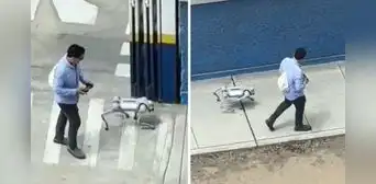 Peruano pasea con perro robot en Comas y usuarios quedan intrigados: “¿Muerde?” Peruano pasea con perro robot en Comas y usuarios quedan intrigados: “¿Muerde?”