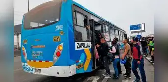 ¿Qué líneas acatarán el paro de transportistas del 23 de octubre? Esto se sabe de la medida que paralizará al 90% de empresas ¿Qué líneas acatarán el paro de transportistas del 23 de octubre? Esto se sabe de la medida que paralizará al 90% de empresas