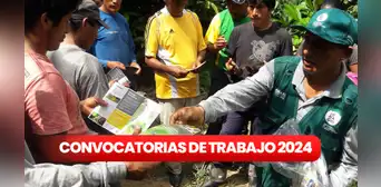 Senasa lanza convocatoria laboral en Áncash, Cajamarca, Lima y Pasco con sueldos de hasta S/. 4.000: ¿cómo postular? Senasa lanza convocatoria laboral en Áncash, Cajamarca, Lima y Pasco con sueldos de hasta S/. 4.000: ¿cómo postular?