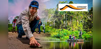 Cusqueño trabajó de niño cultivando frutas, fue guardaparques y hoy es jefe de Sernanp Perú: "Inicié como voluntario"