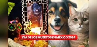 Día de Muertos de mascotas 2024: ¿cuándo visitan los altares los gatos y perros fallecidos?